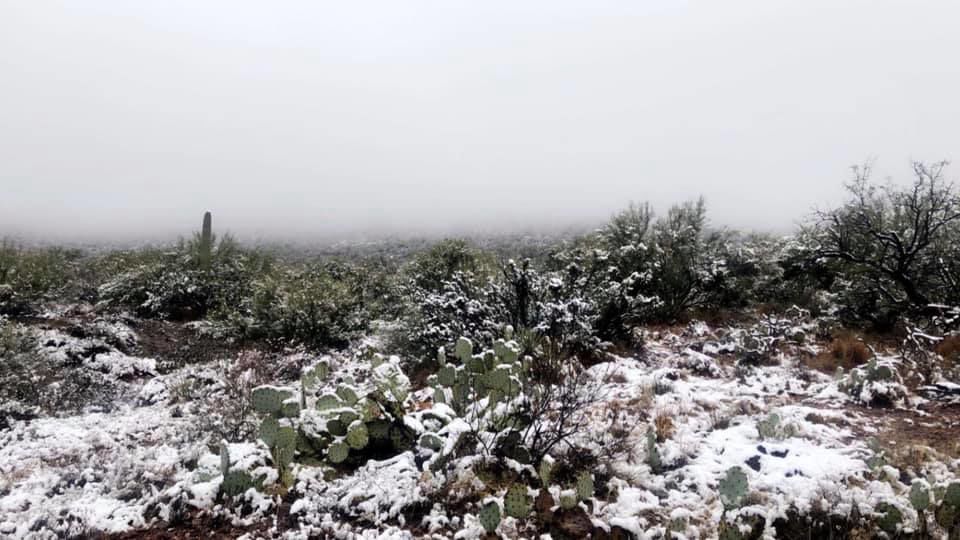 Snow in ÃÛèÖÖ±²¥